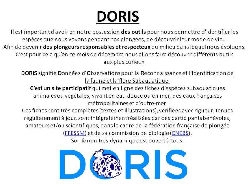 Doris 2