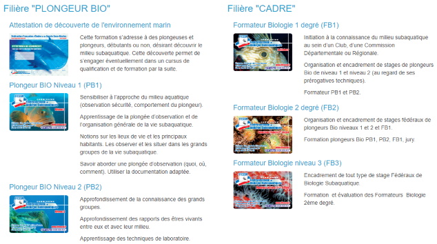 Filière Plongeur bio