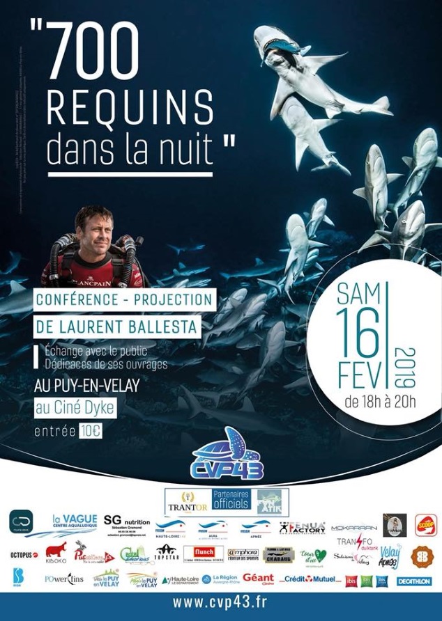 affiche 700 requins ballesta