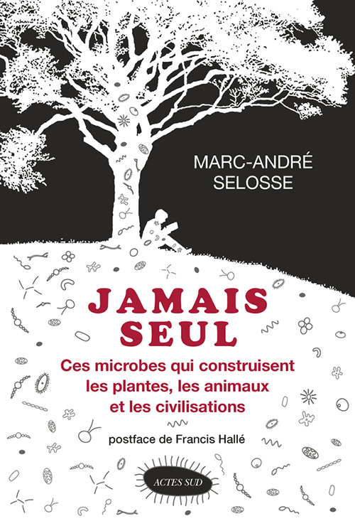 conférence symbiose janvier 2019