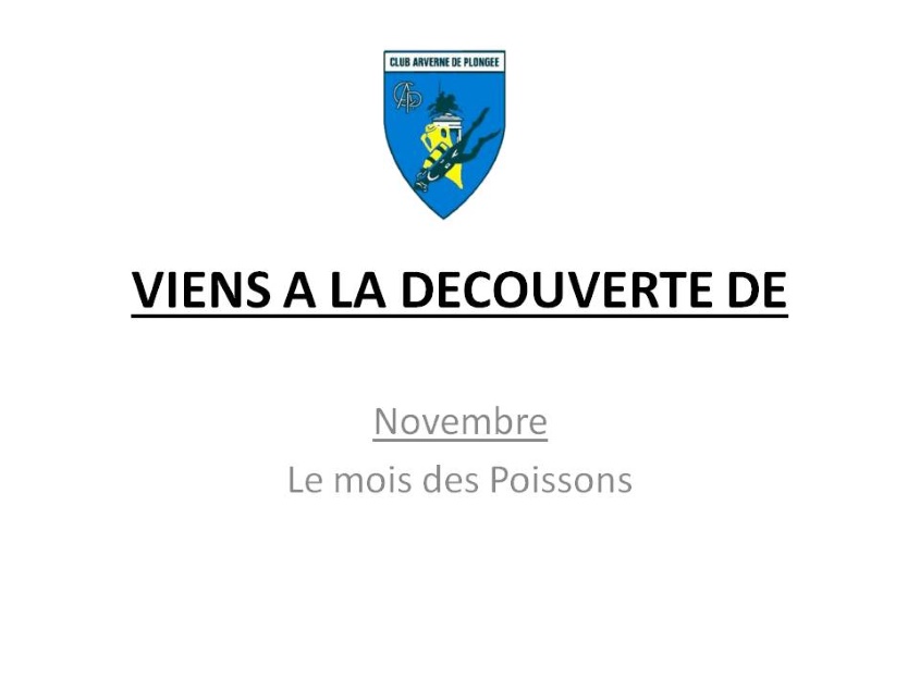 découverte novembre