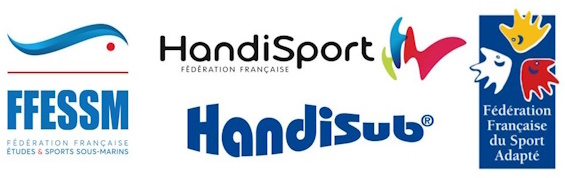 handisub