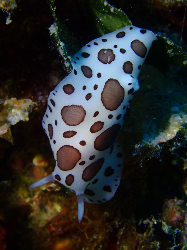 P6070002